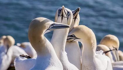 爱游戏全站-特别报道排球赛场裁判新机制，排球赛裁判规则