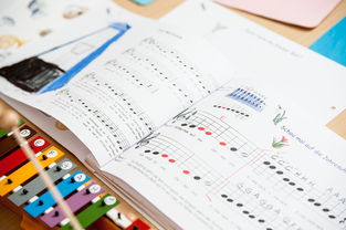 爱游戏在线-中小学体育课安全教育实施现状研究，体育课堂安全背景下的小学体育课现状